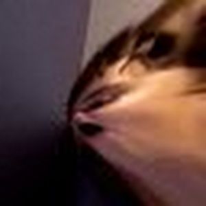 Meet your Posher, Martins